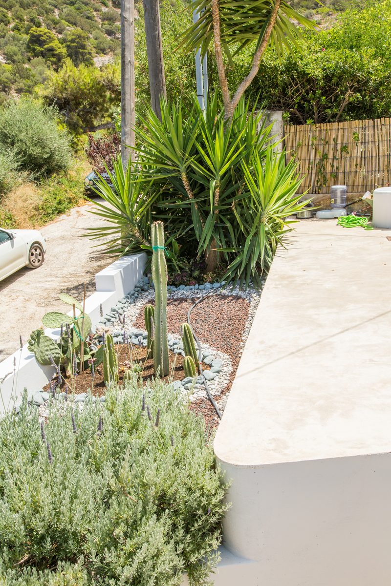 Jardin cactus